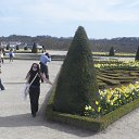 ���� �����, ������� - ��������� 25 �������� 2015 � ������ ���� ����������