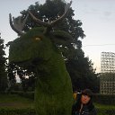 ���� ����, ������, 43 ���� - ��������� 3 ������� 2015