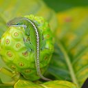 ���� �����, �����-��������� - ��������� 18 ���� 2015 � ������ ���� ����������