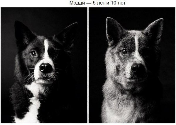    -     - 5