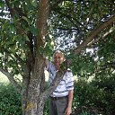 ���� �������, ����������, 73 ���� - ��������� 11 �������� 2015 � ������ ���� ����������