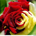 ���� �����, ������ ��������, 47 ��� - ��������� 20 �������� 2015 � ������ ���� ����������