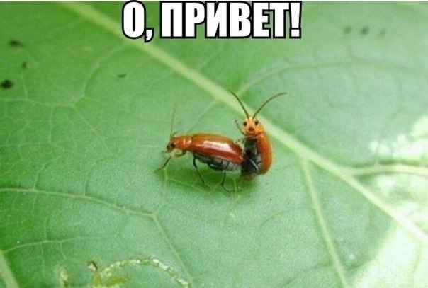 ������������ ���� - 8 ���� 2015 � 10:05