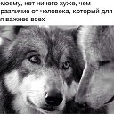 ���� �����, ���������, 42 ���� - ��������� 4 �������� 2015 � ������ ���� ����������