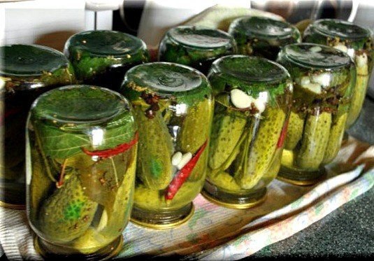 Огурцы маринованные острые.огурцы - 10 кгзелень укропа - 1 большой пучок (около 250 г)зелень ...