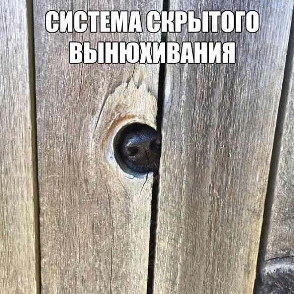   - 8  2015  18:24