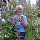 ���� �����, �����-���������, 77 ��� - ��������� 3 �������� 2015 � ������ ������ ��������