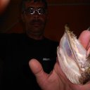 ���� ������, ������, 58 ��� - ��������� 12 ���� 2015 � ������ ������ ��������