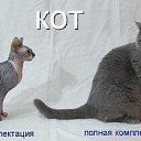 ���� �������� ����, ������, 46 ��� - ��������� 30 ������� 2015 � ������ ������ ��������