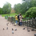 ���� ������, �����-���������, 40 ��� - ��������� 27 ���� 2015 � ������ ���� ����������