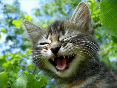 ��� ����, ���� � ���� ����� �������� � ���������! ���������� ������������� ���� ������� ����: - ...