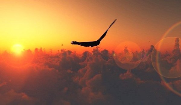          -     " "  -   : http://vk.com/creationoflife - 21  2015  10:28