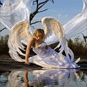 ���� �������, ����, 51 ��� - ��������� 30 ��� 2015