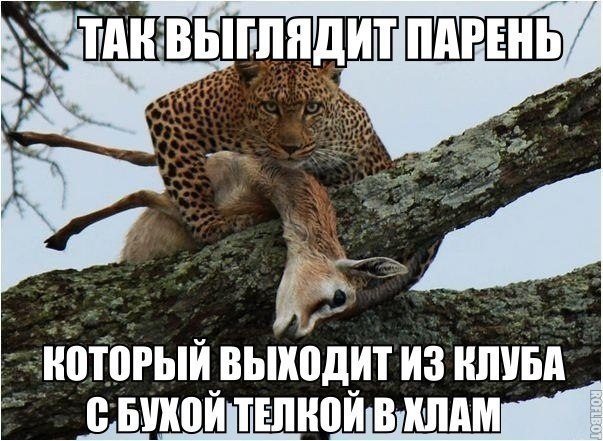 ������ - 29 ������� 2015 � 09:26