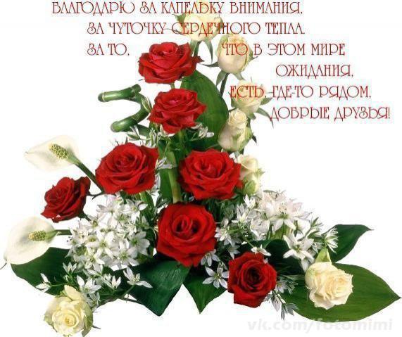 ������� - 12 ��� 2015 � 06:40