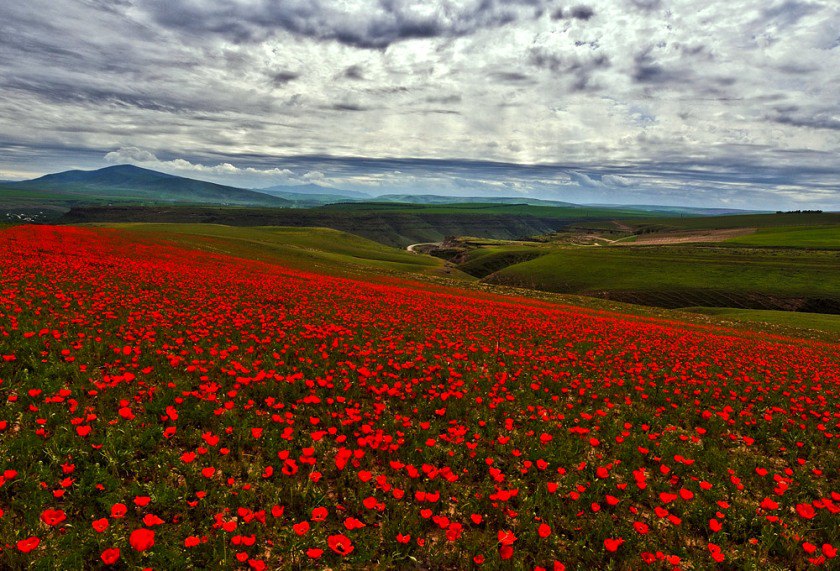 ��� ���� �����, ��� � �� ����. ������������ ������ ���� � ������� �����.