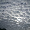 ���� �����, ������ ��������, 41 ��� - ��������� 7 �������� 2015 � ������ �������