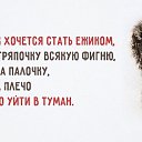 ���� ��������, ����� - ��������� 1 ������� 2015 � ������ ������ ��������