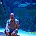 ��� ������ ��������������! �� ������� ������ 2013�