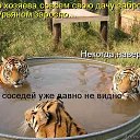  , - -  22  2015    .