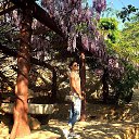 ���� ������, ������ - ��������� 16 ������� 2015 � ������ ���� ����������