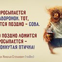   (), , 51  -  25  2015    