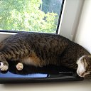 ���� �������� ���������, �����������, 63 ���� - ��������� 16 ������� 2015 � ������ �����