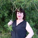 ���� ������, �����, 58 ��� - ��������� 28 ���� 2015 � ������ ���� ����������