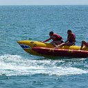 ���� Petyunya, ����, 41 ��� - ��������� 19 ������� 2015 � ������ ���������-�����