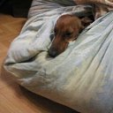 ���� ��������, �����-���������, 72 ���� - ��������� 4 ���� 2015 � ������ ���� ����������