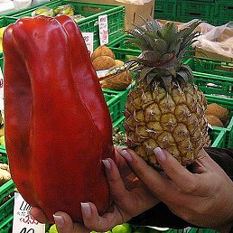 ������, �������, 56 ���