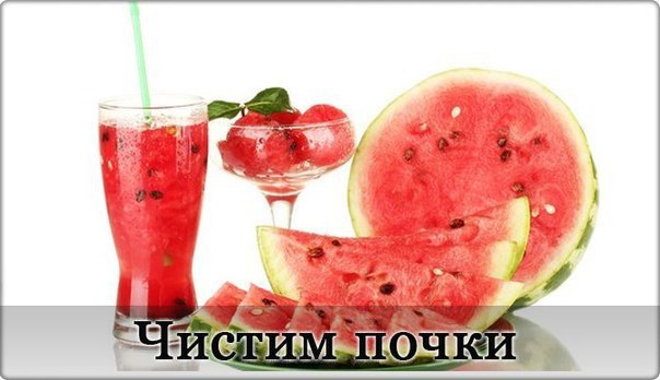 И народная, и традиционная медицина сходятся в одном. При лечении почечных болезней рекомендуют ...
