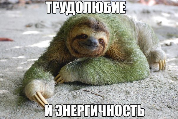 ��� ������ ���!