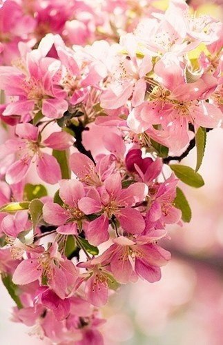    .      ,   :    ... - 4