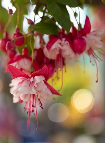 ||  ... || - 16  2015  12:28 - 2