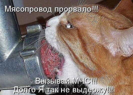 )