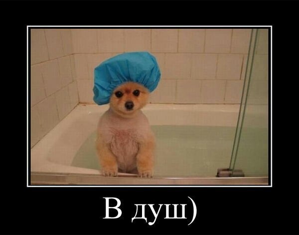 Фото в душе мем