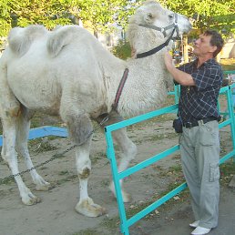 ���� �����, ��������, 65 ��� - ��������� 24 ������� 2015