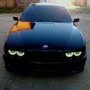 ���� ����, �������, 43 ���� - ��������� 17 ���� 2015 � ������ ���� ����������