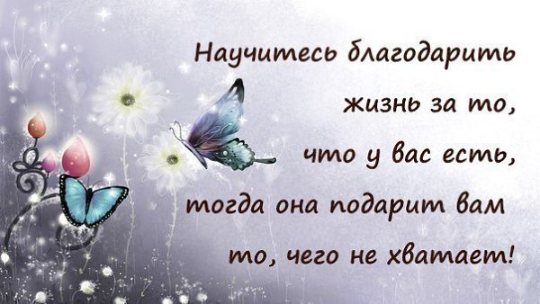   - 23  2015  20:03