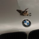 ������ �����. � ������� ������� ������� �� ������� ������� - ������ - �� - ���� �� 28 ����� + ���� 10�����