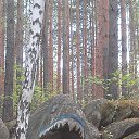 ���� �������, ���������, 54 ���� - ��������� 23 ��� 2015 � ������ ���������