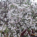 ���� �������, ������, 76 ��� - ��������� 24 ��� 2015 � ������ ���� ����������