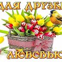 ���� �����, ���������, 41 ��� - ��������� 1 ���� 2015 � ������ ���� ����������