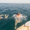  , , 45  -  4  2015    2015