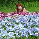  . .   ,     .     .   ,  -  2015