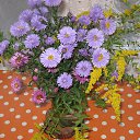 ���� ������, ������, 64 ���� - ��������� 7 ���� 2015 � ������ ���� ����������