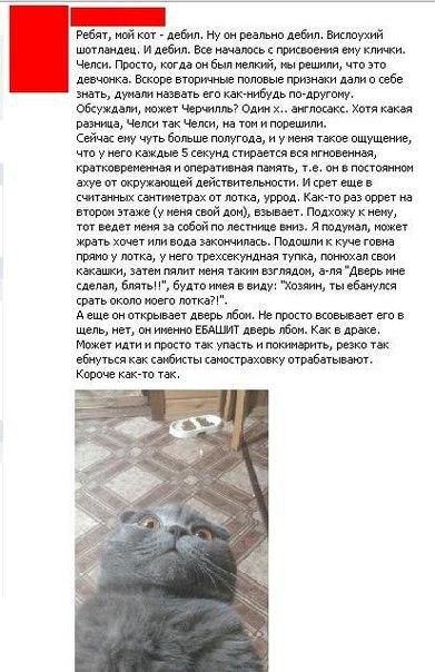 )))))