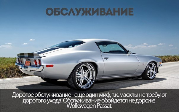 8    Muscle Cars - 5