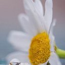 ���� ��, ��������, 64 ���� - ��������� 2 ���� 2015 � ������ ���� ����������